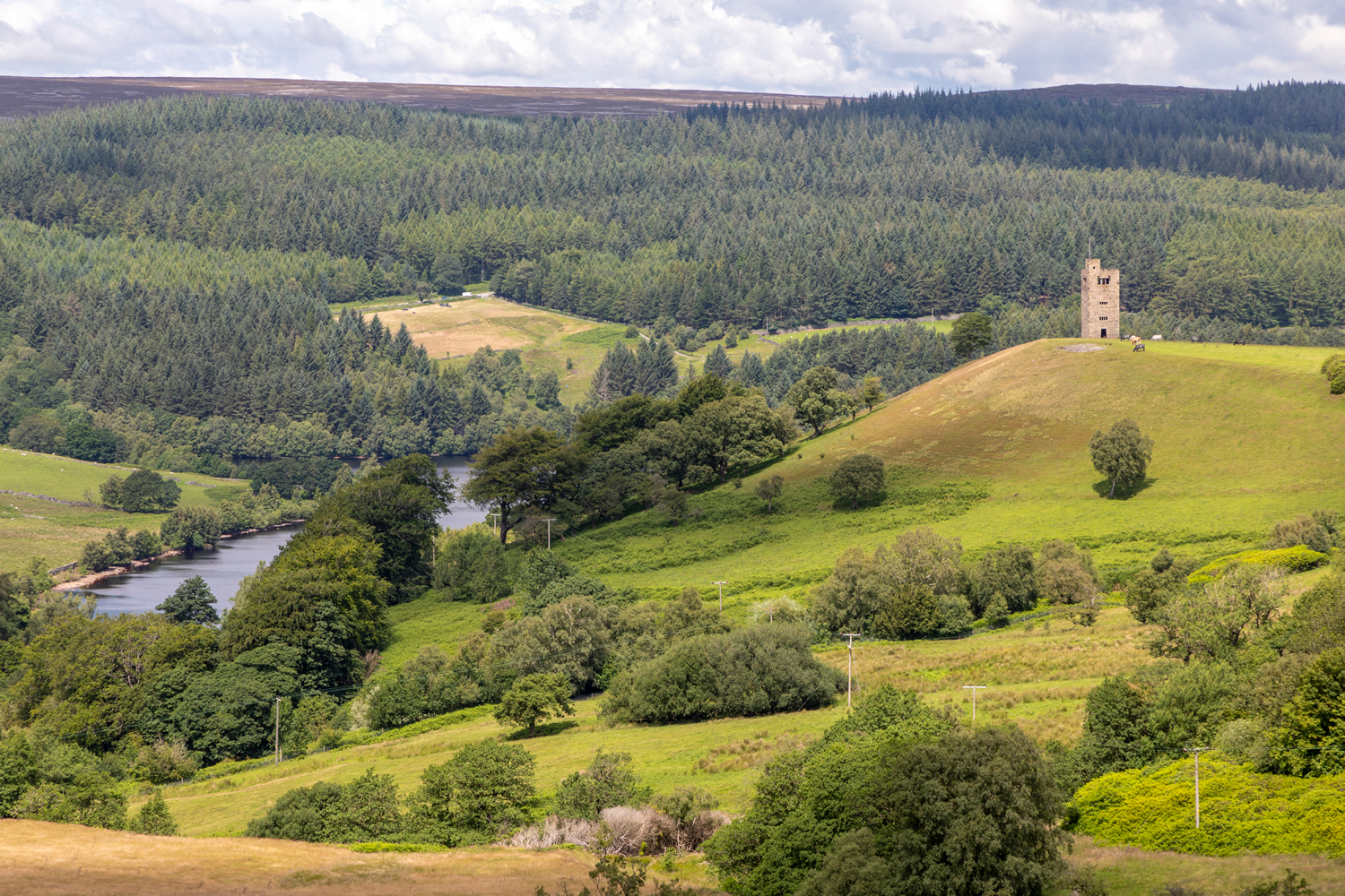 Image name strines and bradfield dale sheffield yorkshire the 17 image from the post Walk: Dale Dike Reservoir in Yorkshire.com.