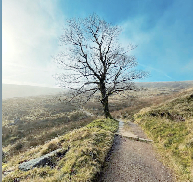 Image name 100blog 2 the 8 image from the post International Women's Day: Walk in the Brontë's Footsteps in Yorkshire.com.