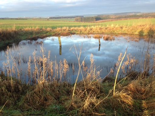 Image name 170707 dew pond Credit F Grace EM the 14 image from the post Yorkshire Wolds Dew Pond Wander: a journey through time in Yorkshire.com.