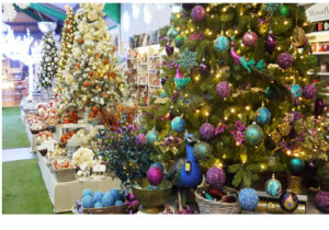 Pontefract Page image 10 Image name Ackworth Garden Centre the 3 image from the post Pontefract in Yorkshire.com.