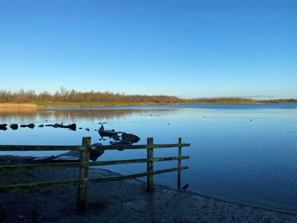 Visit Anglers Country Park - Visitor Information Visitor Attraction image 4 Anglers Country Park lake