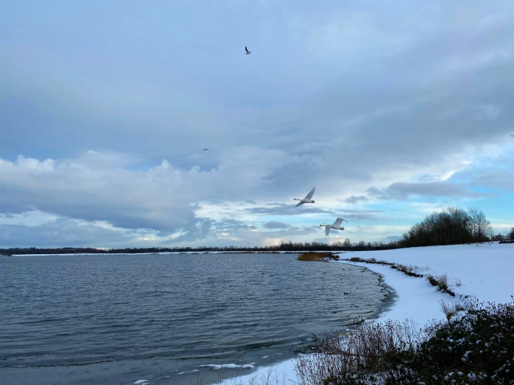 Visit Anglers Country Park - Visitor Information Visitor Attraction image 1 Image name Anglers Country Park 3 the 1 image from the post Visit Anglers Country Park - Visitor Information in Yorkshire.com.