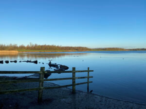 Barnsley Page image 18 Anglers Country Park lake