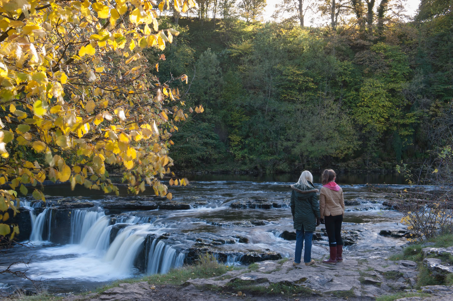 Aysgarth Falls Tourist Information Centre Visitor Attraction image 4 Image name Aysgarth Falls Tourist Information Centre 1 the 3 image from the post Aysgarth Falls Tourist Information Centre in Yorkshire.com.