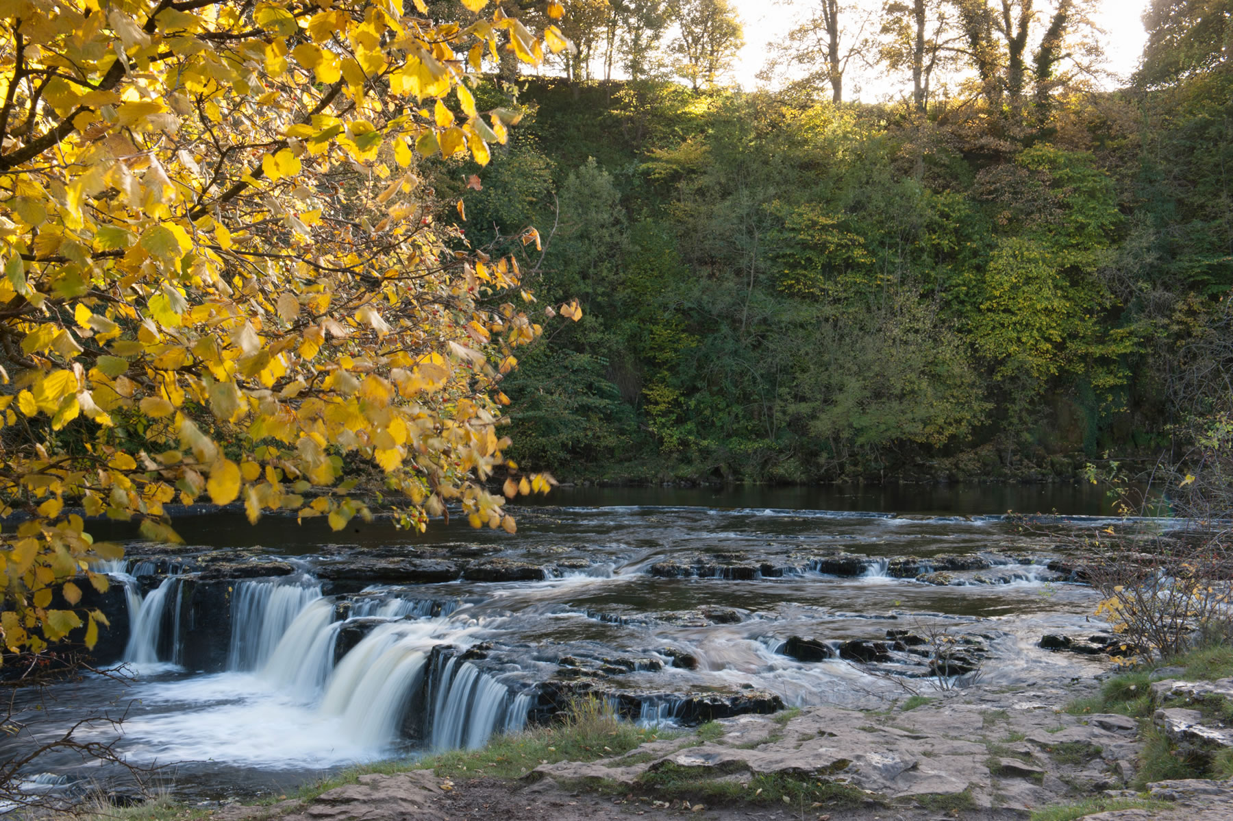 Aysgarth Falls Tourist Information Centre Visitor Attraction image 2 Image name Aysgarth Falls Tourist Information Centre 3 the 1 image from the post Aysgarth Falls Tourist Information Centre in Yorkshire.com.