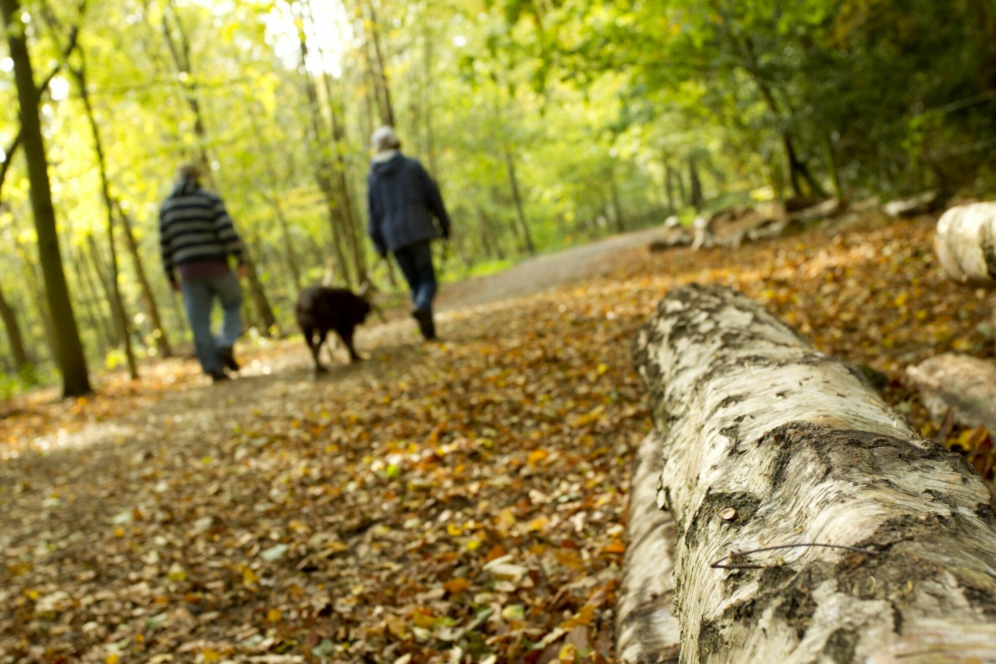 Image name BHA 02 10242011 0014 scaled the 1 image from the post Dog walkers: Top tips for keeping wildlife safe in Yorkshire.com.