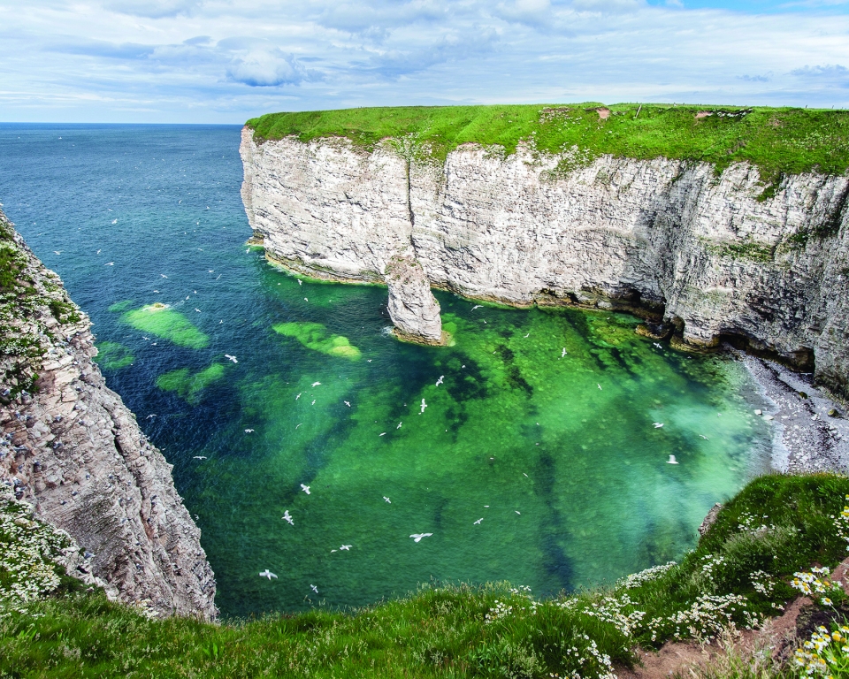 Image name Breil Nook Credit George Stoyle the 24 image from the post Discovering Yorkshire’s Seabird City in Yorkshire.com.