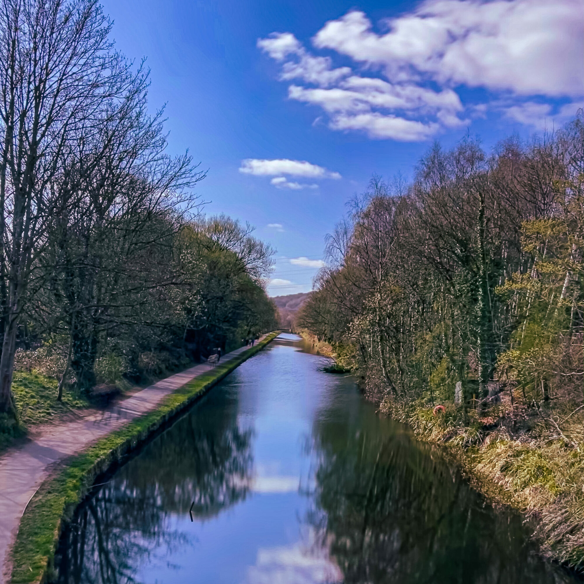 Cromwell Bottom Nature Reserve, Brighouse Walk Post image 1 Image name Canal Bridge View scaled the 1 image from the post Cromwell Bottom Nature Reserve, Brighouse Walk in Yorkshire.com.