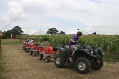 Image name Copleys Corn Maze @ Farmer Copleys 3 the 4 image from the post Farmer Copley's Farm Shop - Pontefract in Yorkshire.com.