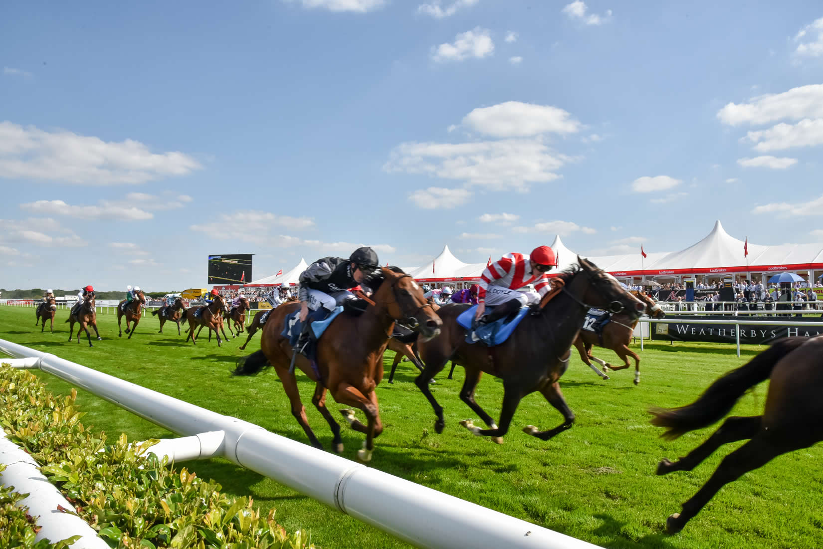 Doncaster Page image 15 Image name Doncaster Racecourse 1 the 5 image from the post Doncaster in Yorkshire.com.