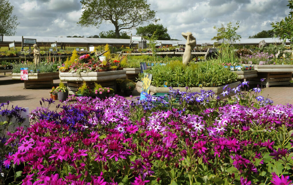 Image name Eastfield Garden Centre 2 the 2 image from the post Eastfield Garden Centre - A Gardeners Paradise Bridlington in Yorkshire.com.