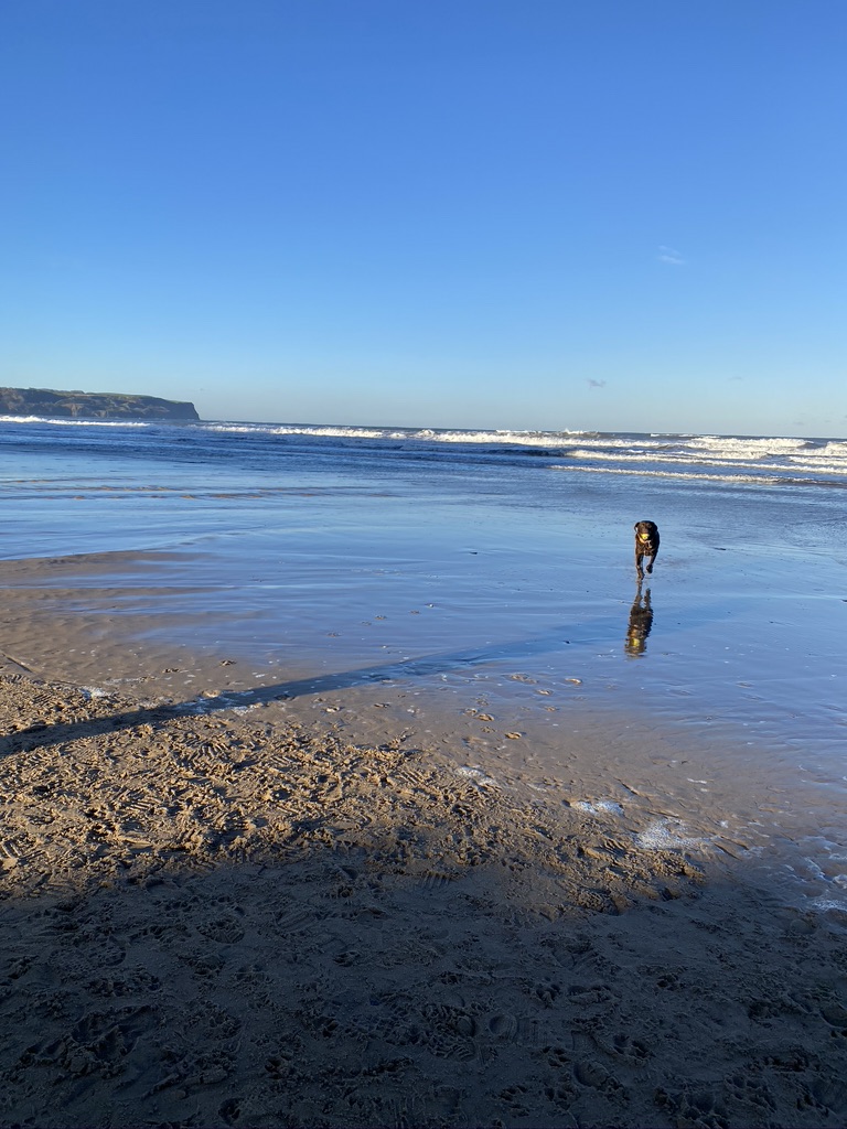 Image name F7466A89 23EF 4B36 A19C 58EF1BA6D31F 1 105 c the 1 image from the post Merlin the Chocolate Wizard's Sandsend Walk in Yorkshire.com.