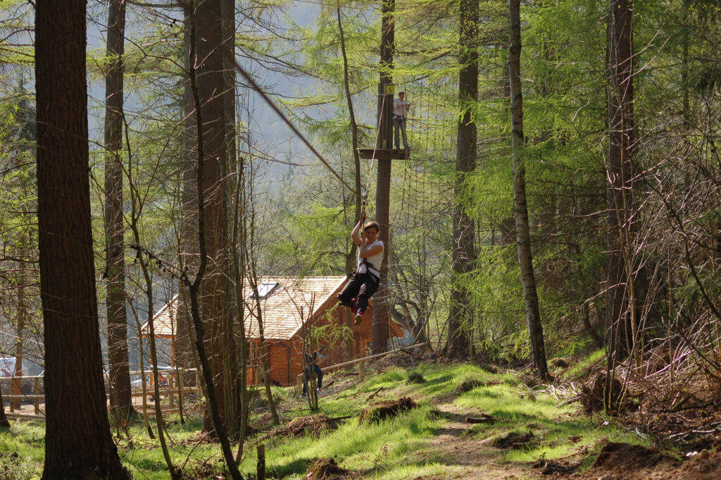Anthony Cockerill goes for a walk in the woods in the North York Moors… Post image 2 Go Ape! Dalby Forest