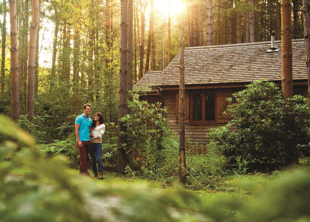 8 luxury lodges for a romantic retreat Post image 14 Image name Griffon Forest the 13 image from the post 8 luxury lodges for a romantic retreat in Yorkshire.com.