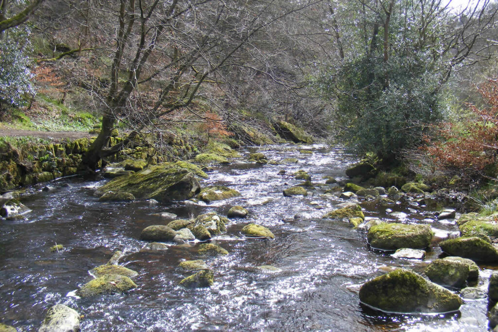 Visit Hardcastle Crags - Prices, Times, Visitor Info Visitor Attraction image 2 Image name Hardcastle Crags 3 the 2 image from the post Visit Hardcastle Crags - Prices, Times, Visitor Info in Yorkshire.com.