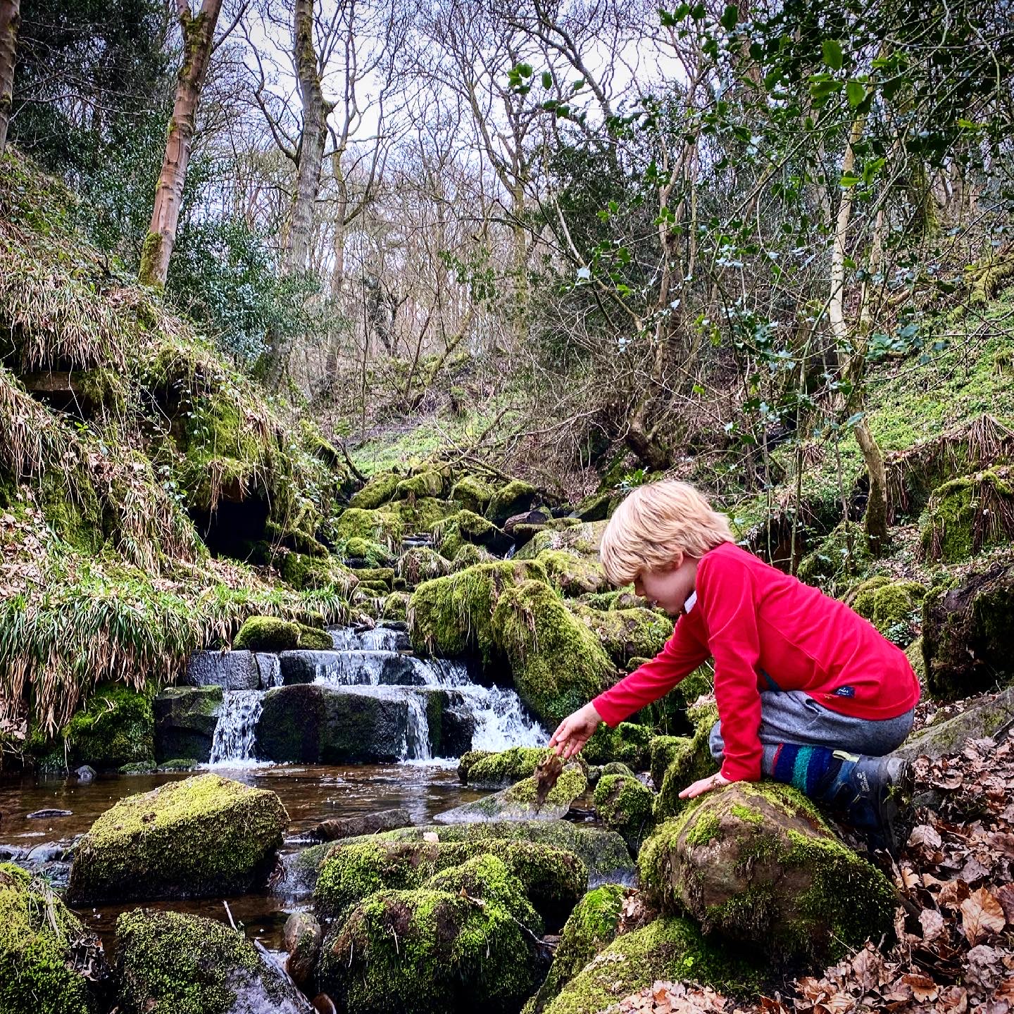 Image name Hebers Ghyll Child Friendly Walks Ilkley 2 the 2 image from the post Heber's Ghyll, Ilkley in Yorkshire.com.