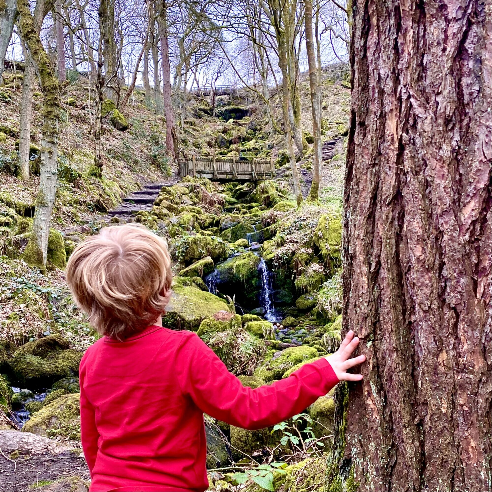 Heber's Ghyll, Ilkley Post image 3 Image name Hebers Ghyll Child Friendly Walks Ilkley 3 scaled the 3 image from the post Heber's Ghyll, Ilkley in Yorkshire.com.