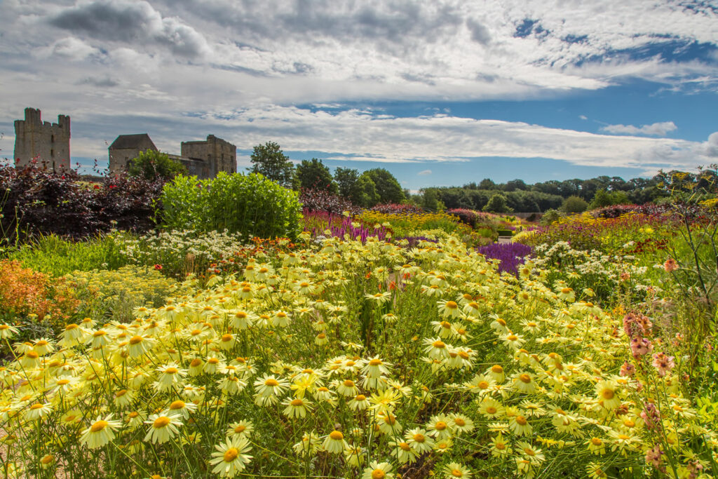 Helmsley Walled Garden - Must Visit For Garden Enthusiasts Visitor Attraction image 1 Image name Helmsley Walled Garden 3 the 1 image from the post Helmsley Walled Garden - Must Visit For Garden Enthusiasts in Yorkshire.com.