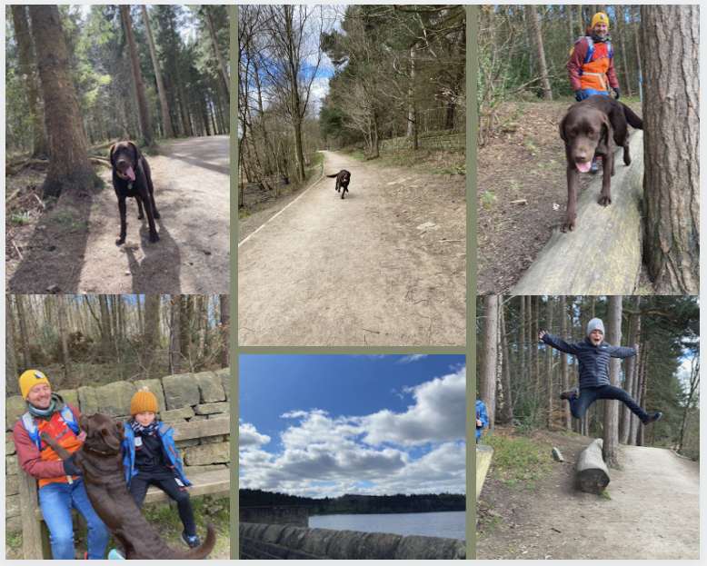 The big swim - Swinsty and Fewston Reservoirs walk Page image 4 The big swim – Swinsty and Fewston Reservoirs walk