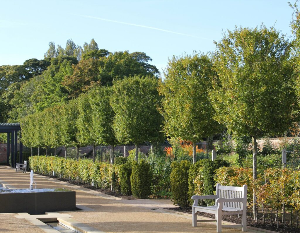 Vist Kirkleatham Walled Garden Visitor Attraction image 3 Image name Kirkleatham Walled Garden 2 the 3 image from the post Vist Kirkleatham Walled Garden in Yorkshire.com.