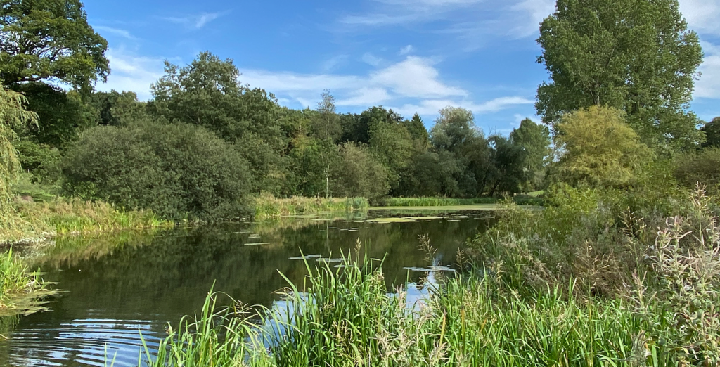 Walk: The Wilberforce Way Post image 4 Image name Lake in Londesborough Park 1 the 3 image from the post Walk: The Wilberforce Way in Yorkshire.com.