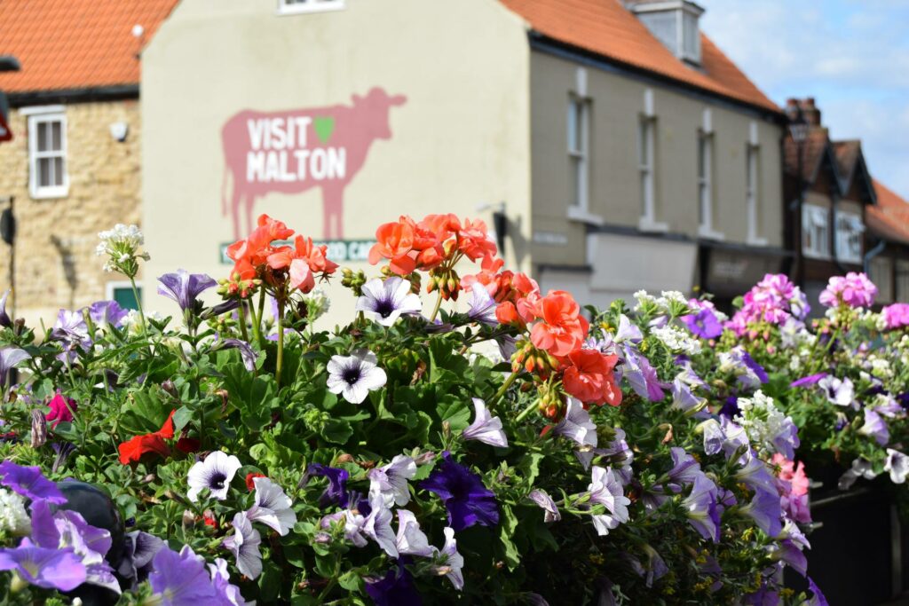 Shopping in Malton - For Locals & Visitors Page image 12 Image name Malton Monthly Food Market October 2022 the 7 image from the post Shopping in Malton - For Locals & Visitors in Yorkshire.com.
