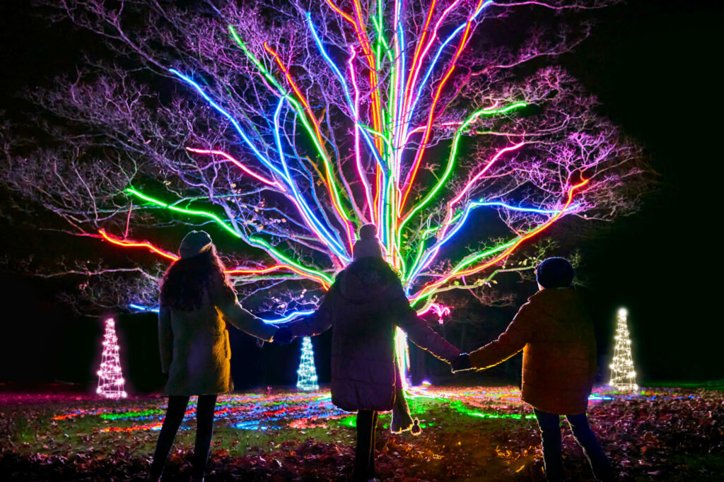 Things to do in Yorkshire this Christmas Post image 3 Neon tree Richard Haughton