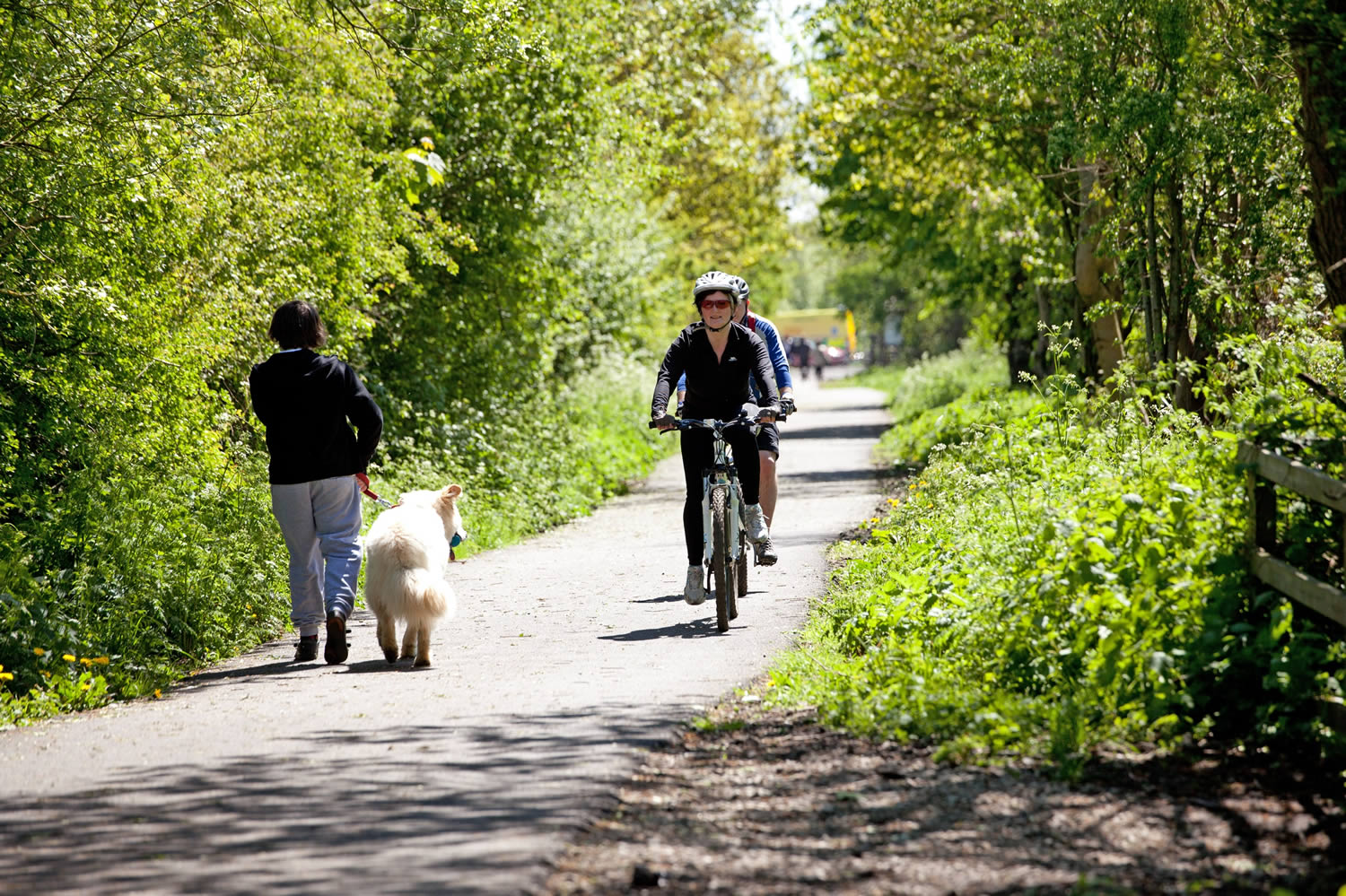 Image name Nidderdale Greenway. Please credit Dean Smith the 4 image from the post Harrogate to Ripley in Yorkshire.com.