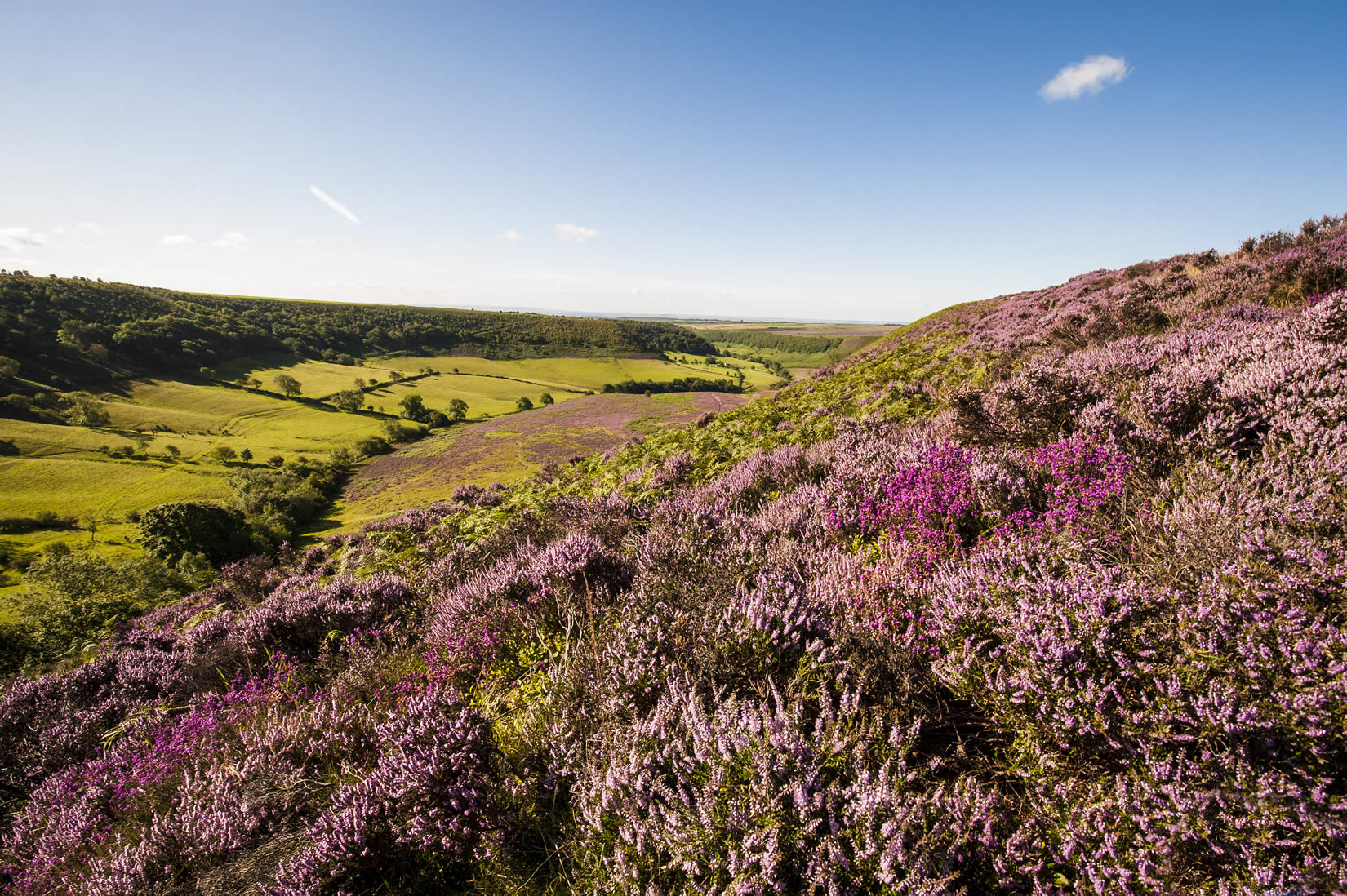 North Yorkshire Page image 3 Image name North York Moors National Park the 3 image from the post North Yorkshire in Yorkshire.com.