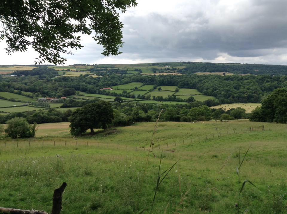 Image name North Yorkshire Moors Cottages the 22 image from the post Anthony Cockerill goes for a walk in the woods in the North York Moors… in Yorkshire.com.