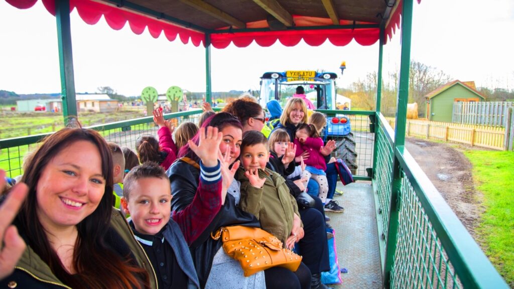 Image name Piglets Adventure Farm Park 1 the 3 image from the post Piglets Adventure Farm Park - Family Fun In York in Yorkshire.com.