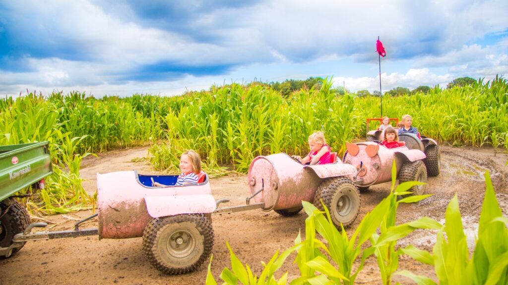 Image name Piglets Adventure Farm Park the 4 image from the post Piglets Adventure Farm Park - Family Fun In York in Yorkshire.com.