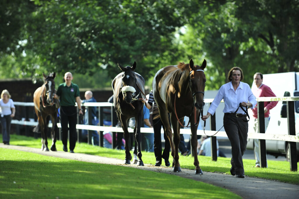 Horse racing Summer Festival begins at Pontefract Racecourse Post image 5 Image name Pontefract Racecourse 3 the 5 image from the post Horse racing Summer Festival begins at Pontefract Racecourse in Yorkshire.com.