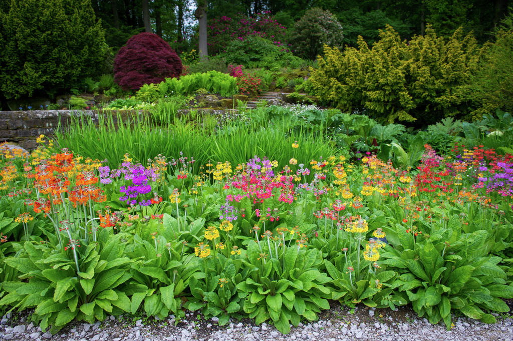 RHS Garden Harlow Carr: A Visitor's Guide to Yorkshire's Horticultural Jewel Visitor Attraction image 4 Image name RHS Garden Harlow Carr 1 the 4 image from the post RHS Garden Harlow Carr: A Visitor's Guide to Yorkshire's Horticultural Jewel in Yorkshire.com.