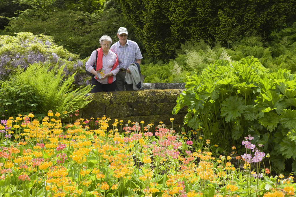 RHS Garden Harlow Carr: A Visitor's Guide to Yorkshire's Horticultural Jewel Visitor Attraction image 3 Image name RHS Garden Harlow Carr 2 the 3 image from the post RHS Garden Harlow Carr: A Visitor's Guide to Yorkshire's Horticultural Jewel in Yorkshire.com.