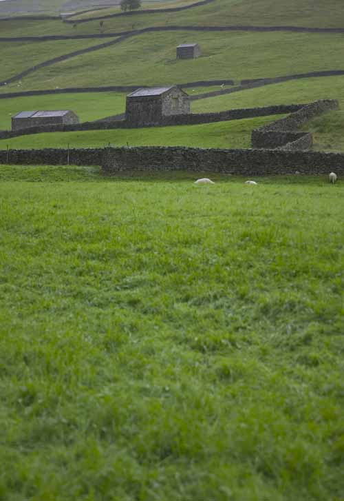 Image name Reeth Tourist Information Centre the 24 image from the post Visitor Attractions in Yorkshire.com.