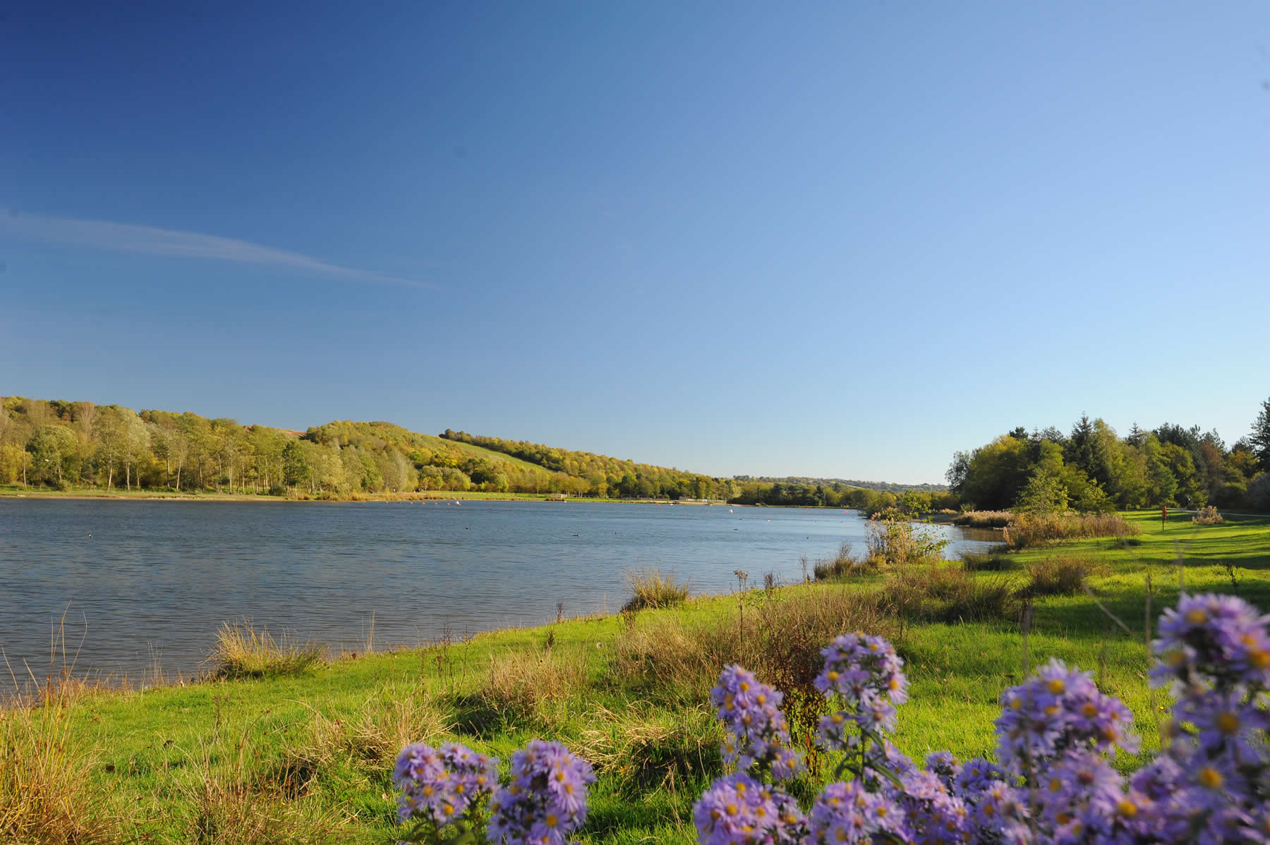Image name Rother Valley Country Park the 33 image from the post Aughton, South Yorkshire in Yorkshire.com.