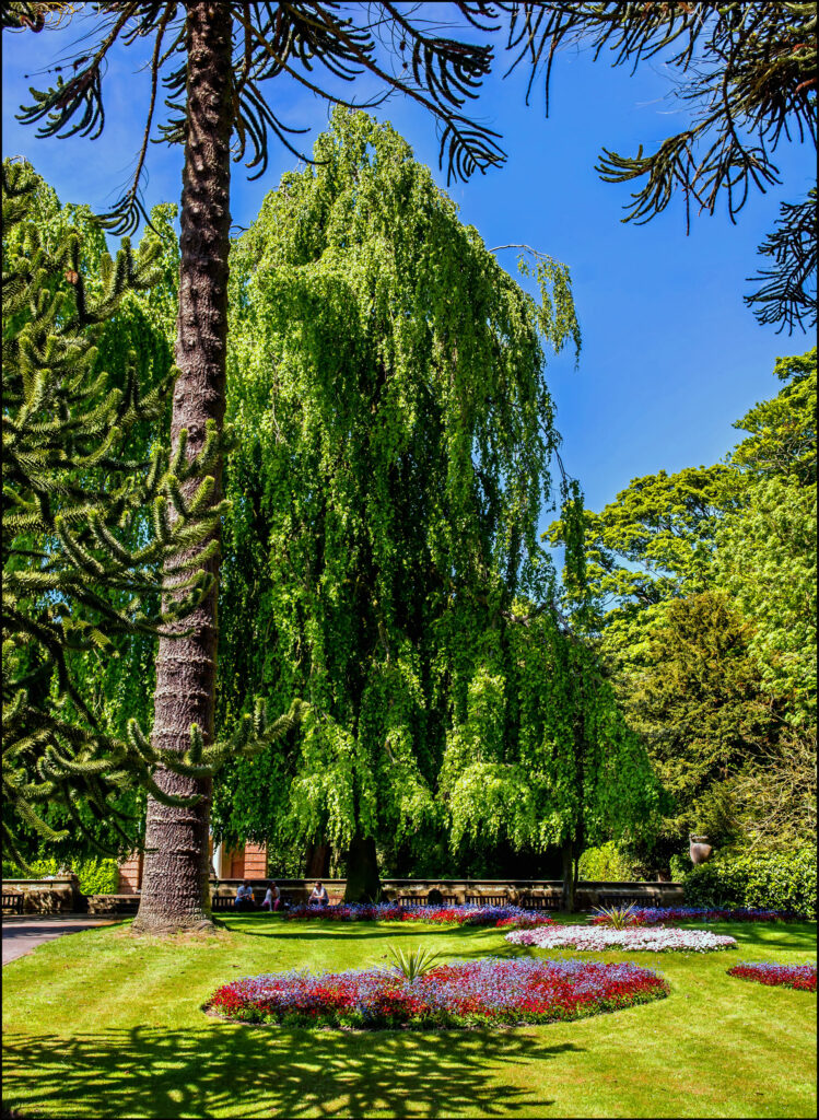 Visit Sewerby Hall and Gardens - Bridlington Visitor Attraction image 7 Image name Sewerby Hall and Gardens 3 the 7 image from the post Visit Sewerby Hall and Gardens - Bridlington in Yorkshire.com.