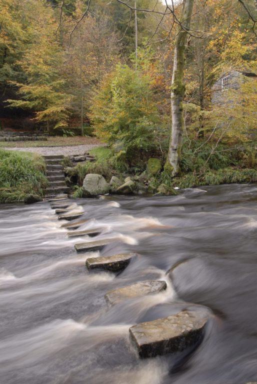 4 Nature Walks for the Seasons Post image 2 Image name Stepping stones 11 1 the 2 image from the post 4 Nature Walks for the Seasons in Yorkshire.com.