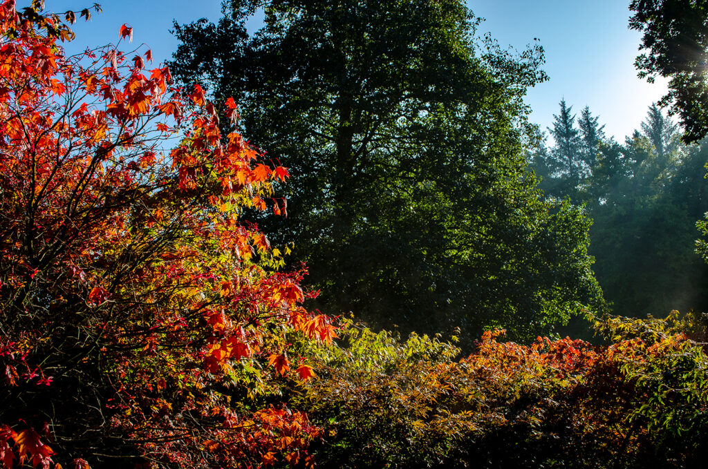 Visit The Yorkshire Arboretum Visitor Attraction image 5 Image name The Yorkshire Arboretum the 5 image from the post Visit The Yorkshire Arboretum in Yorkshire.com.