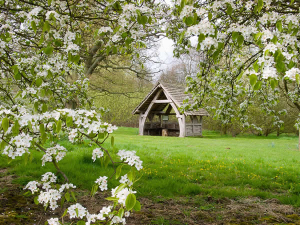 Visit The Yorkshire Arboretum Visitor Attraction image 3 Image name The Yorkshire Arboretum 2 the 3 image from the post Visit The Yorkshire Arboretum in Yorkshire.com.