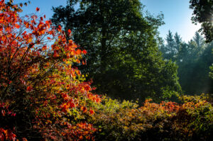 Image name The Yorkshire Arboretum the 2 image from the post Bed & Breakfast Accommodation Bedale in Yorkshire.com.
