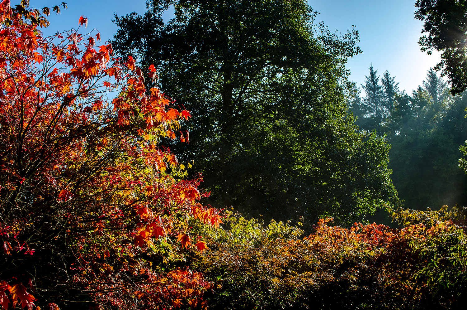 Image name The Yorkshire Arboretum the 5 image from the post Visit The Yorkshire Arboretum in Yorkshire.com.