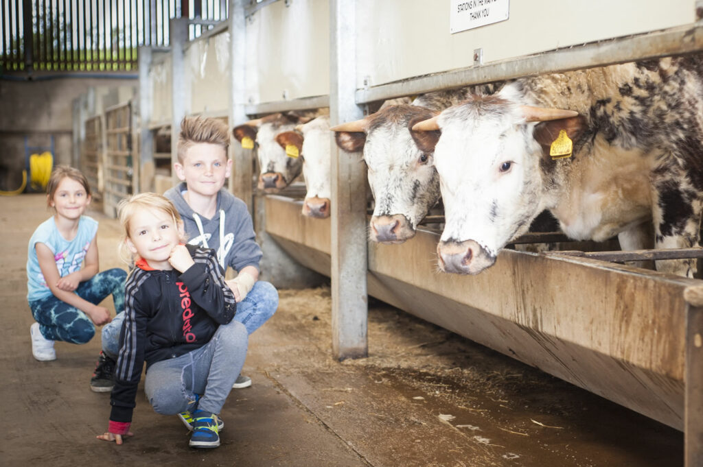 May half term 2024 in Yorkshire Post image 1 Image name Thornton Hall Country Park the 1 image from the post May half term 2024 in Yorkshire in Yorkshire.com.