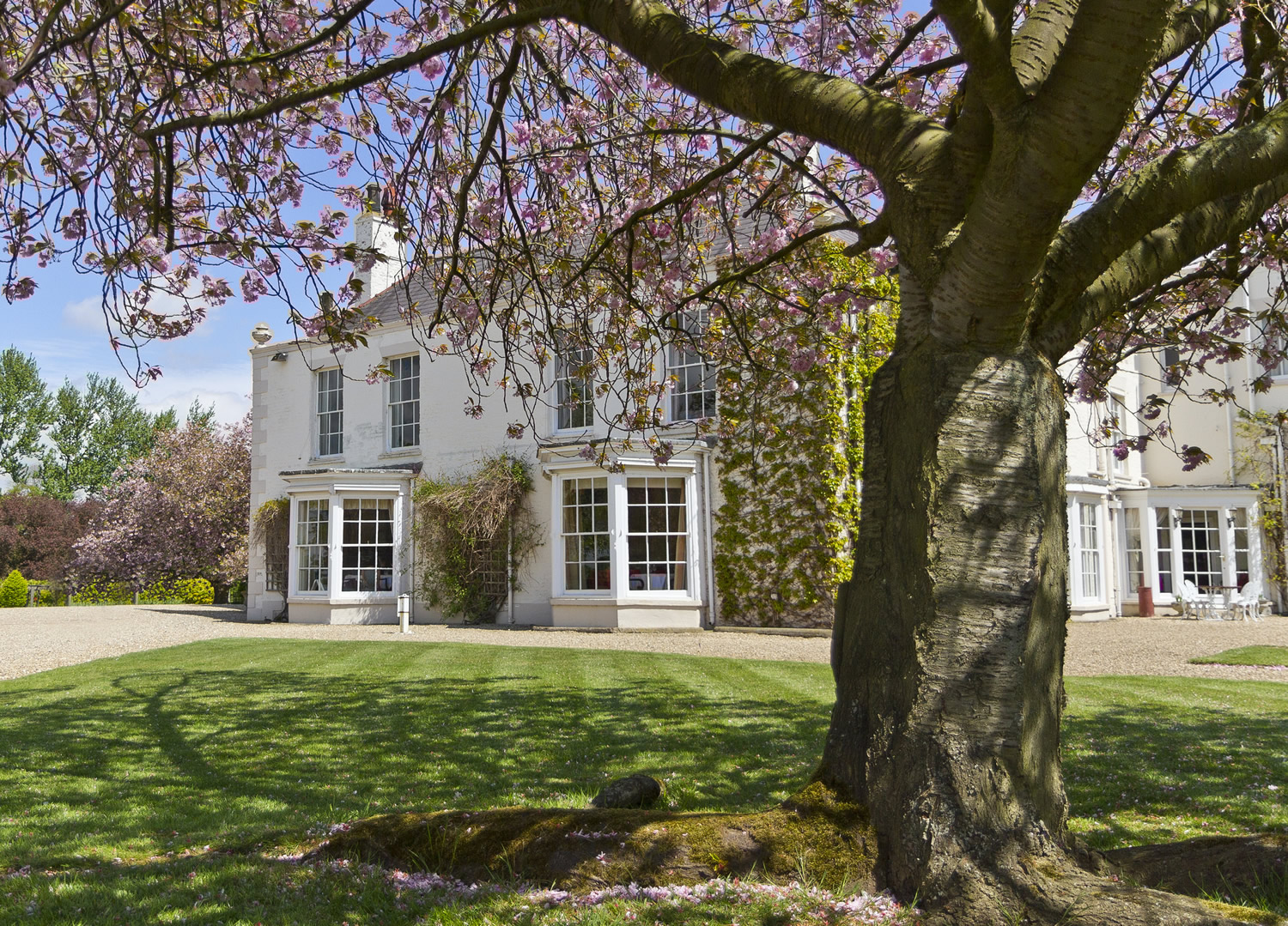 Image name Tickton Grange Hotel the 1 image from the post Tickton Grange Hotel in Yorkshire.com.