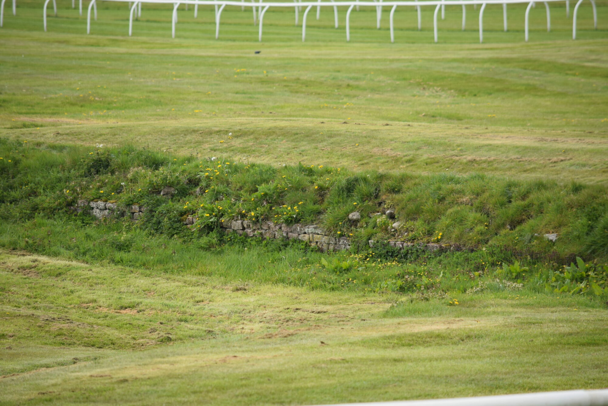 The Hidden Histories of Cataractonium Post image 2 Image name Walk Point 8 Roman town wall scaled the 2 image from the post The Hidden Histories of Cataractonium in Yorkshire.com.