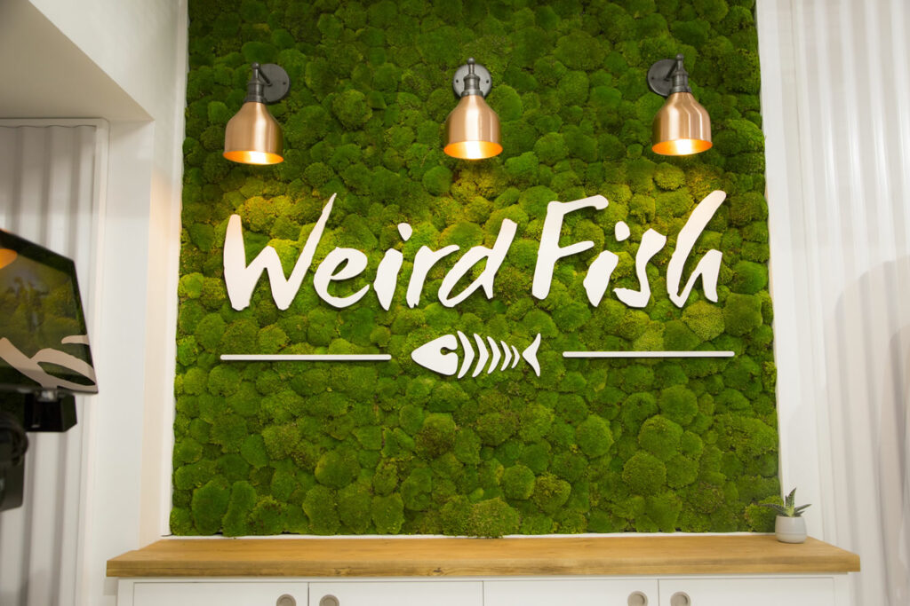 Weird Fish Clothing & Outdoors - York Visitor Attraction image 3 Image name Weird Fish Scarborough 2 the 3 image from the post Weird Fish Clothing & Outdoors - York in Yorkshire.com.