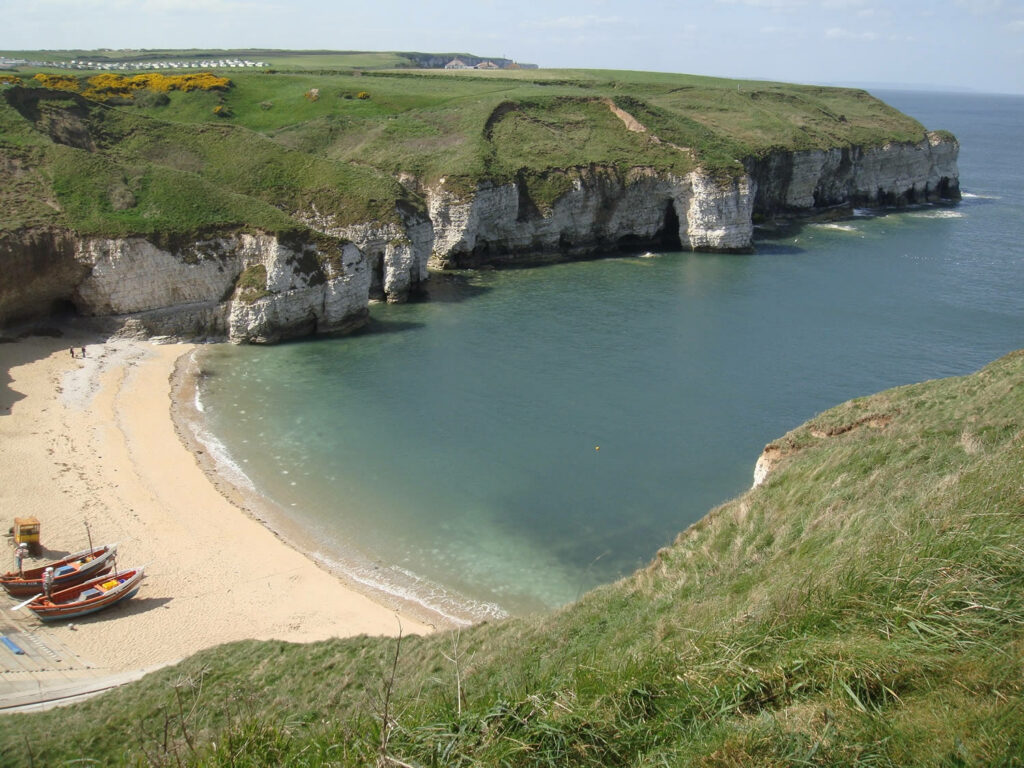Newsletter - Friday 2nd June 2023 Post image 1 Image name YWT Flamborough Cliffs Nature Reserve 2 the 1 image from the post Newsletter - Friday 2nd June 2023 in Yorkshire.com.