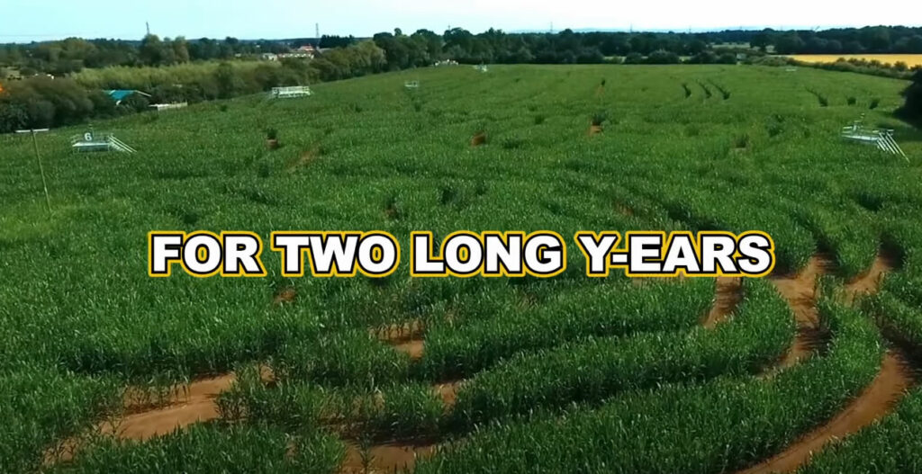 York Maze - Visitor Guide & Prices Visitor Attraction image 5 Image name York Maze 1 the 5 image from the post York Maze - Visitor Guide & Prices in Yorkshire.com.