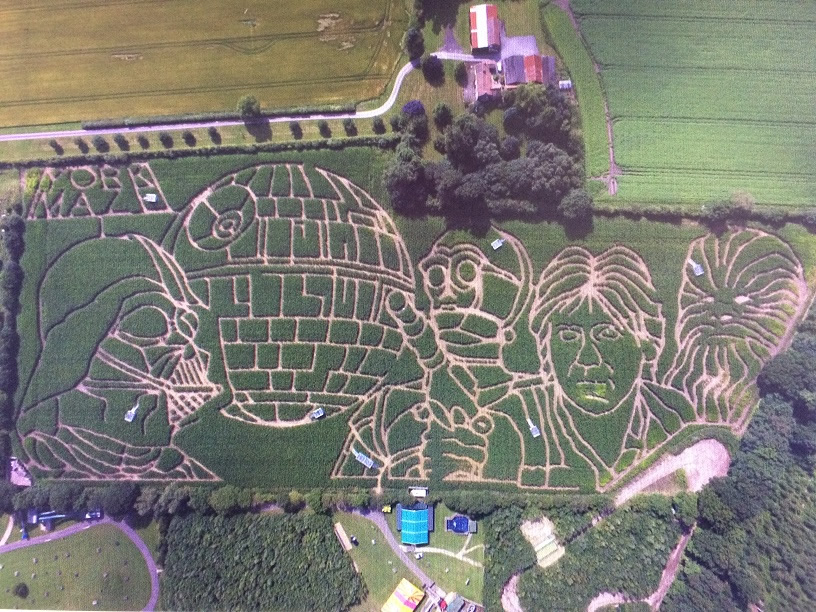 York Maze - Visitor Guide & Prices Visitor Attraction image 3 Image name York Maze 3 the 3 image from the post York Maze - Visitor Guide & Prices in Yorkshire.com.